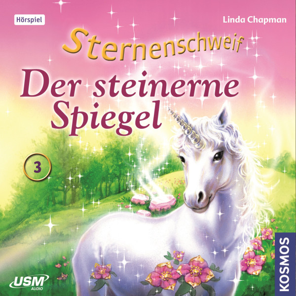 Sternenschweif, Teil 3: Der Steinerne Spiegel